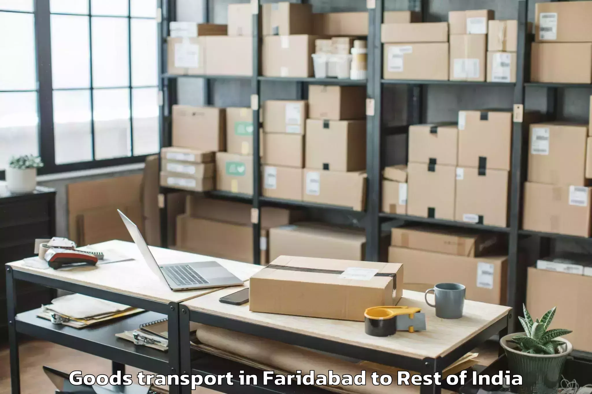 Comprehensive Faridabad to Navabpeta Goods Transport